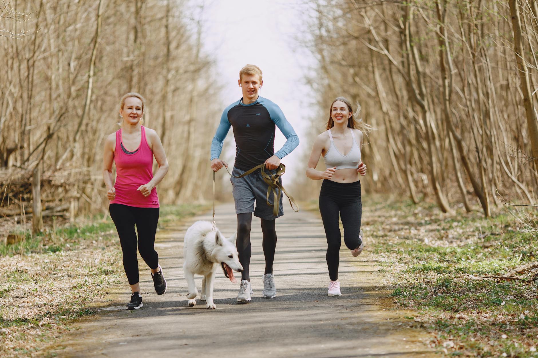 Three adults jogging with a dog on a forest path on a bright spring day, promoting healthy living. - spring run nutrition