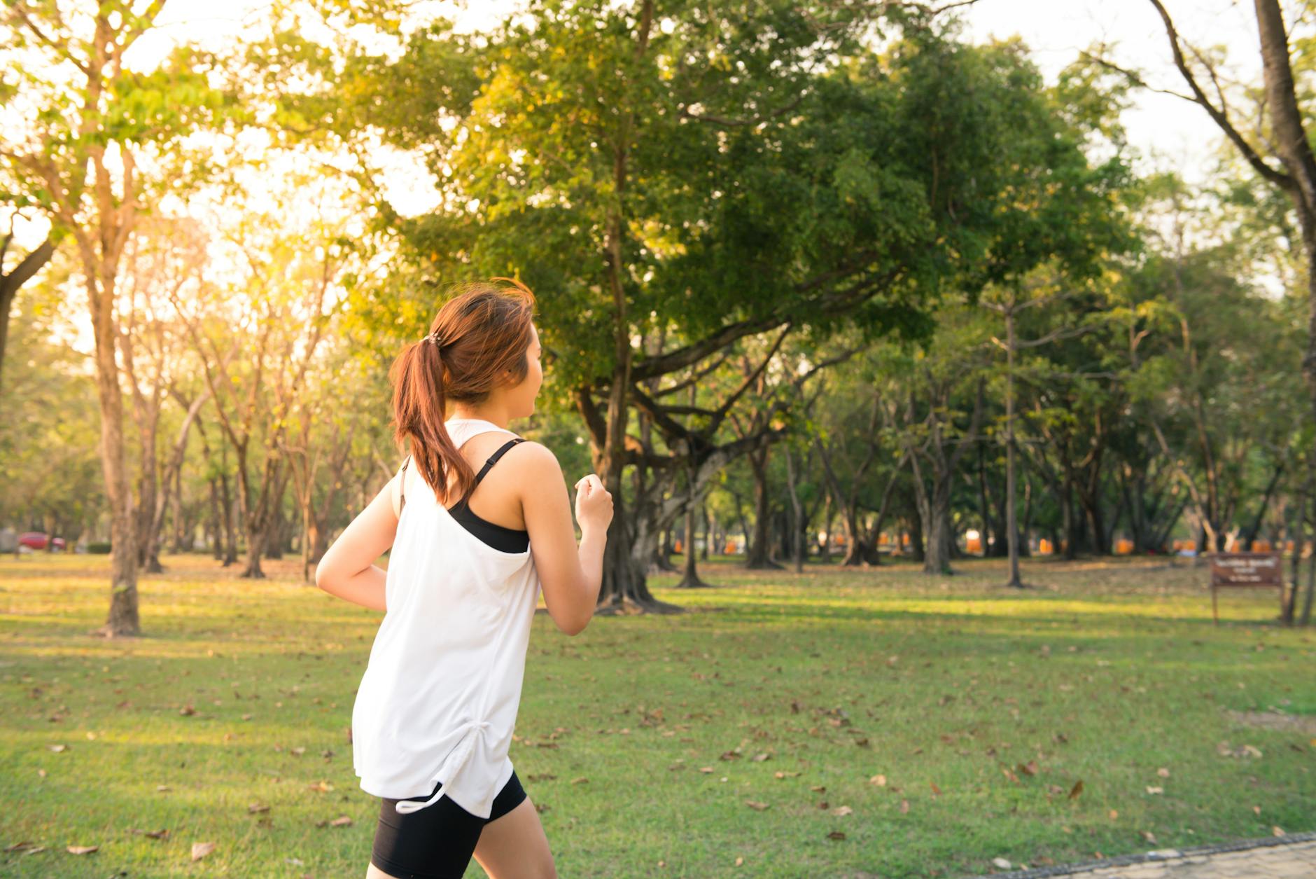 A woman jogging through a forest park in the early morning sunshine, enjoying a healthy lifestyle. - spring running trails