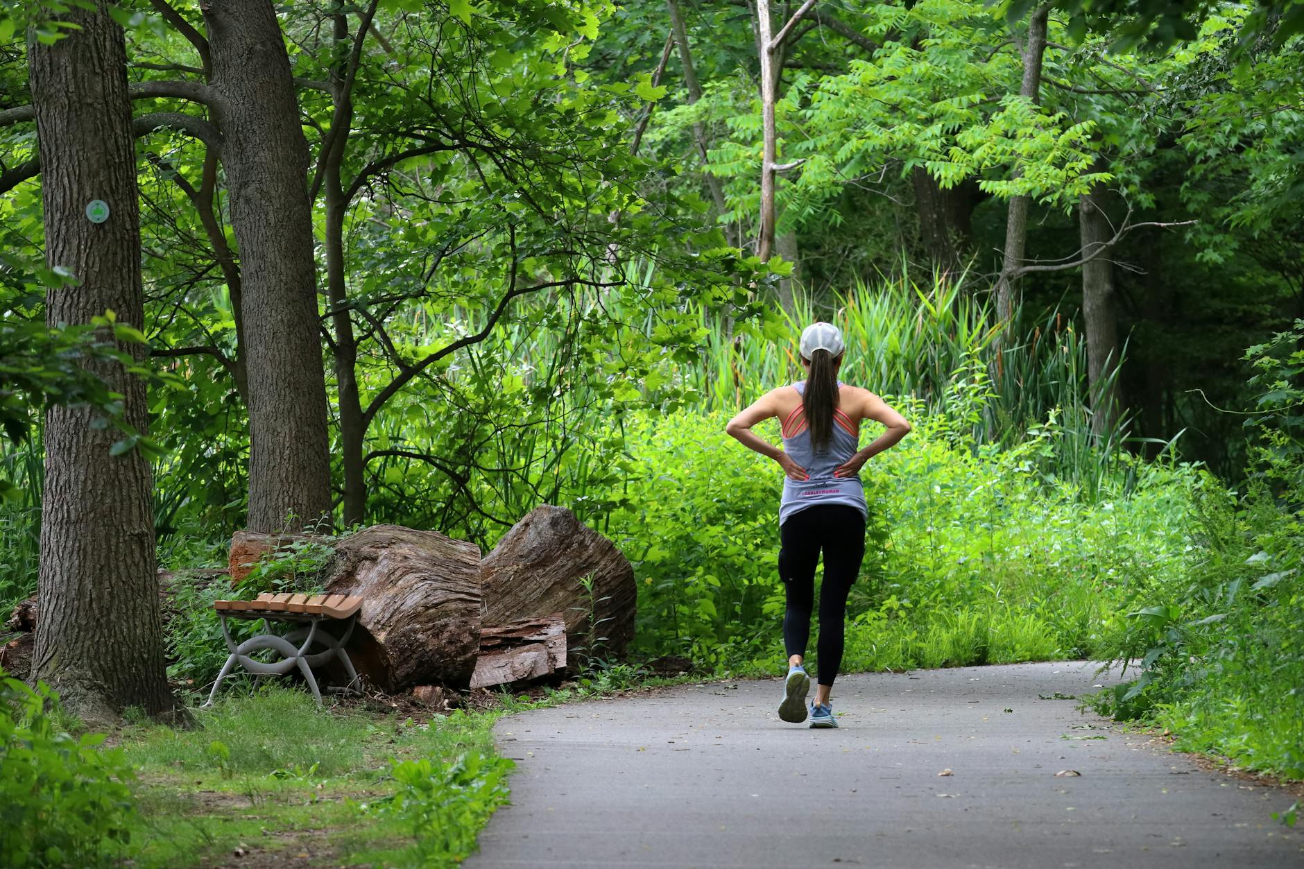 A woman jogs peacefully on a forest path surrounded by lush greenery on a sunny summer day. - spring running trails