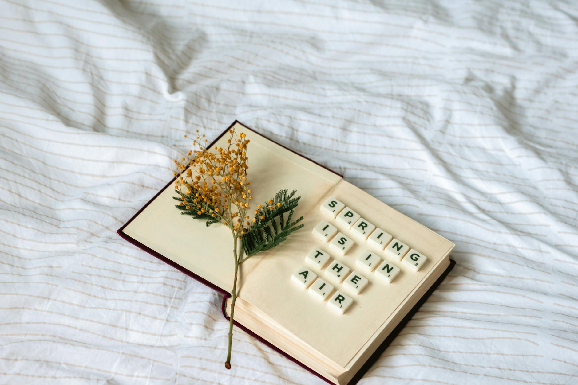 Open book with 'Spring is in the air' tiles and a yellow flower on a striped blanket. - spring sad triggers