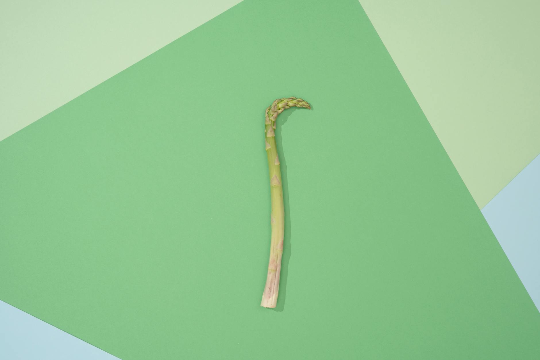 Abstract flat lay of a single green asparagus on color-blocked green backdrop. - spring superfoods energy