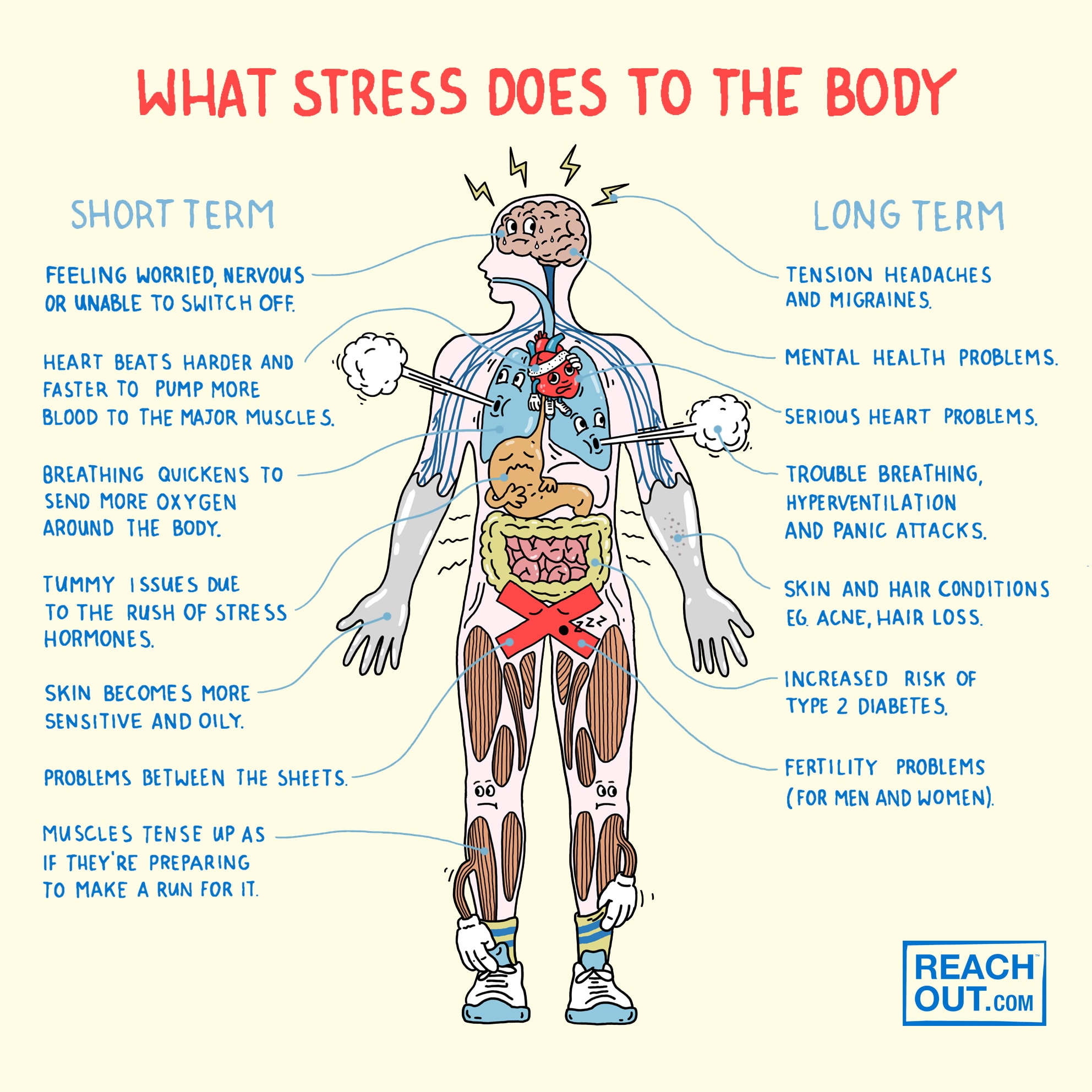 Infographic illustrating the body's physical response to stress